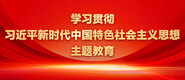 女人的骚逼学习贯彻习近平新时代中国特色社会主义思想主题教育_fororder_ad-371X160(2)